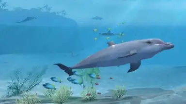 Sharks VR скриншот 1