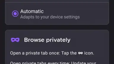 Iceraven Browser скриншот 4