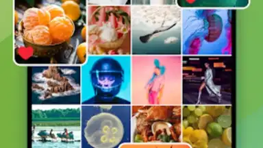 Gallery скриншот 14