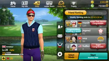 Golf Star скриншот 4