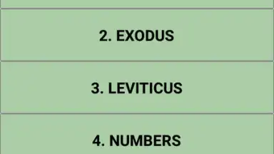 The bible quiz game скриншот 4