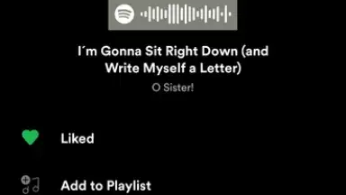 Spotify скриншот 22