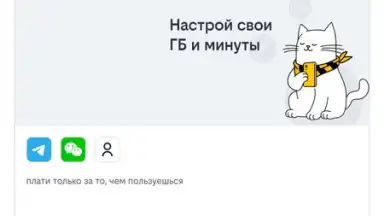билайн скриншот 3