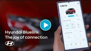 Bluelink скриншот 1