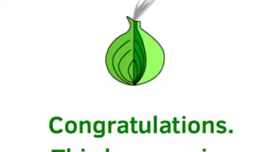 Orfox: Tor Browser скриншот 10