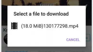 VIP Video downloader скриншот 4
