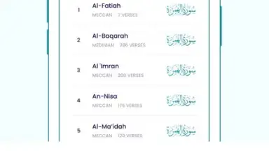 The Holy Quran - English скриншот 4