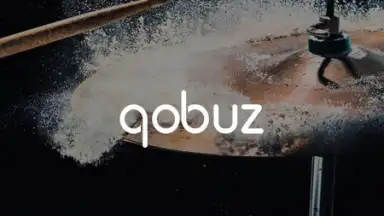 Qobuz скриншот 3