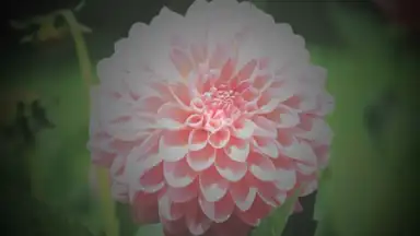 After Effect скриншот 7