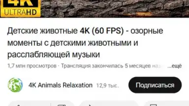 UDL App скриншот 1