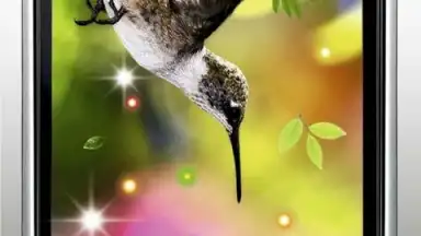 Colibri Spring 3D LWP скриншот 3