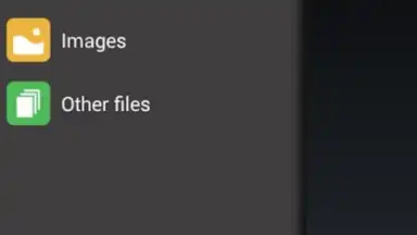 GetThemAll Any File Downloader скриншот 1