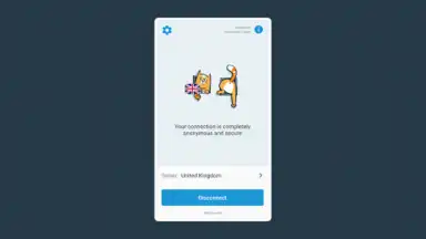 hidemy.name VPN скриншот 10