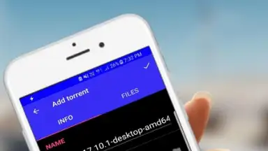 Flash Torrent Downloader - Movie, Music Download скриншот 2