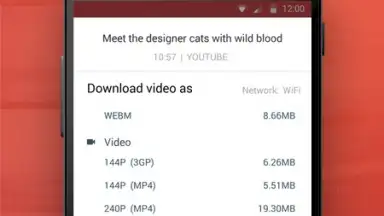 InsTube YouTube Downloader скриншот 4