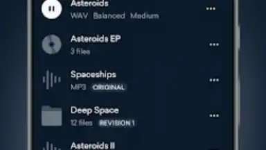 LANDR скриншот 6