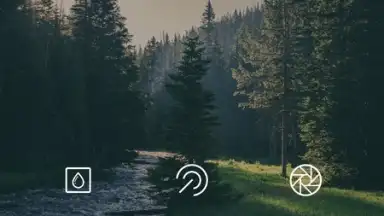 ToolWiz Photos скриншот 8