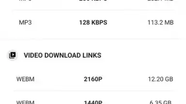 YVideo Downloader скриншот 4