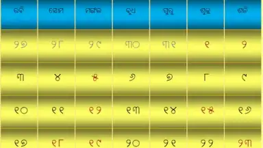 Odia(Oriya) Calendar скриншот 3