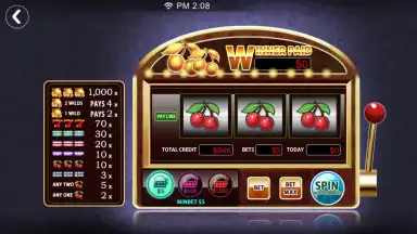 Dinger Poker скриншот 3