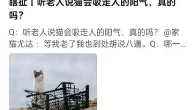 Zhihu скриншот 13