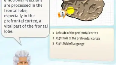 Einstein HD free скриншот 1