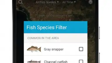 FishBrain скриншот 6