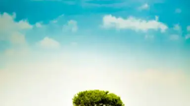 Cute Weather Widget скриншот 2