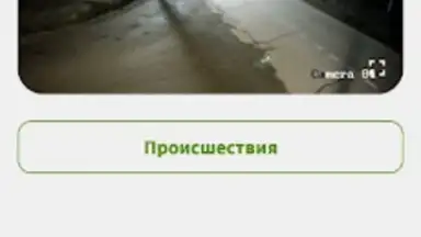 Фридом скриншот 1