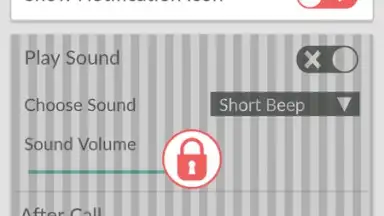 Call Recorder - callX скриншот 3
