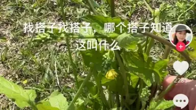Douyin Express Edition скриншот 1