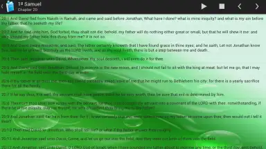 Holy Bible King James Version скриншот 10