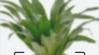 Леруа Мерлен скриншот 4