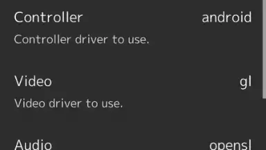 RetroArch скриншот 14