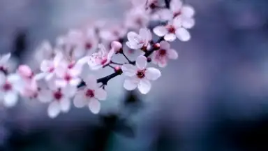 MediaFire скриншот 4