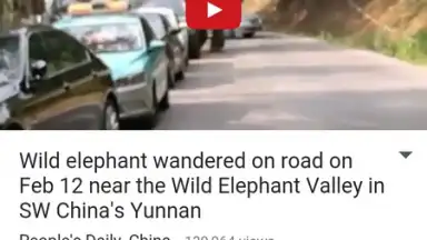 AyaTube Video Downloader скриншот 3