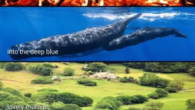 Lusity скриншот 1