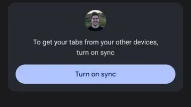 Chrome Beta скриншот 10