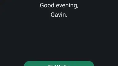 WebEx Meetings скриншот 1