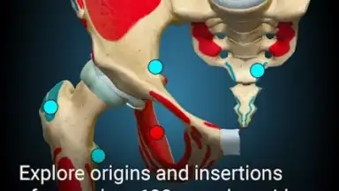 3D Anatomy Learning скриншот 2