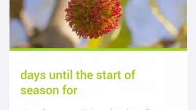 Pollen скриншот 3