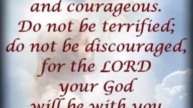 Bible Quotes Live Wallpaper скриншот 4