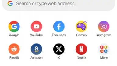 Phoenix Browser скриншот 1