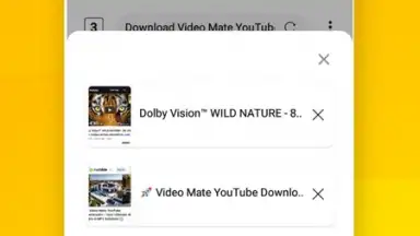 Vidora YouTube Downloader | free & fast скриншот 11