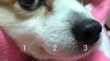 Secret Notes скриншот 4