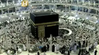 Halal Check скриншот 4