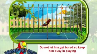 Parrot Pet Shop скриншот 2