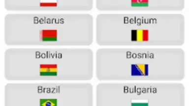 World Football Simulator скриншот 13