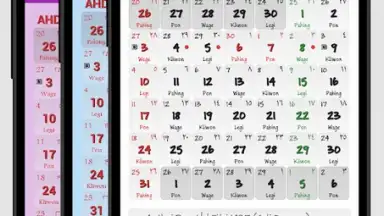 Indonesia Calendar скриншот 11