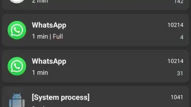 WhatsRunning Demo скриншот 2